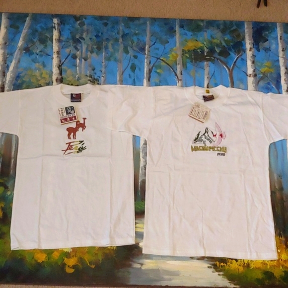 Loggy's Other - (Set of 2) Peru Embroidered Kid's Tee, Medium and Large